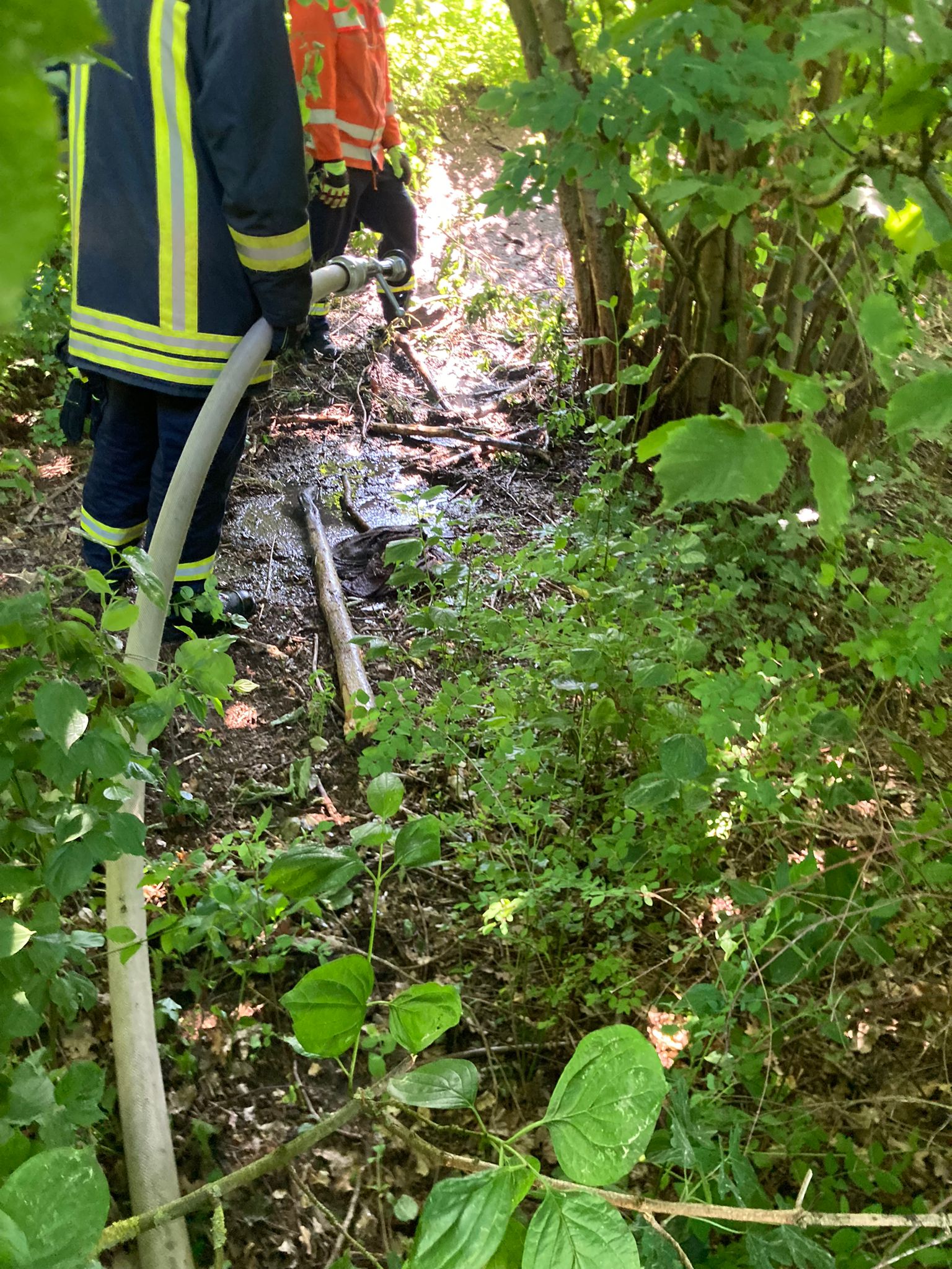 WhatsApp Bild 2024 05 21 um 13.36.43 f0883a16